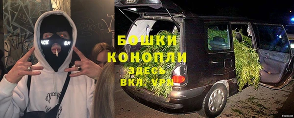 СК Осинники