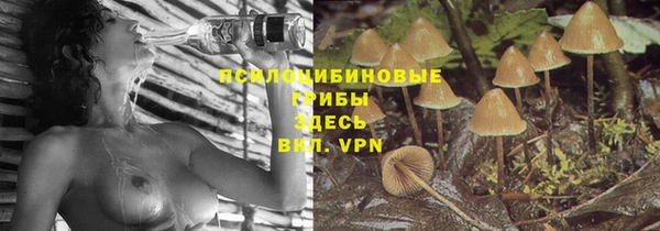 СК Осинники