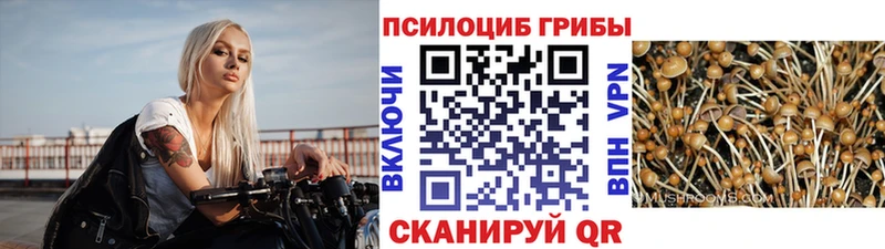Купить закладки  Пятигорск  Галлюциногенные грибы Magic Shrooms 
